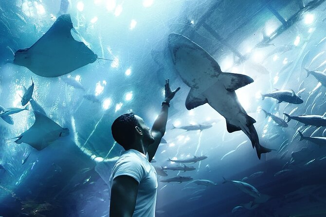 1 dubai aquarium and underwater zoo combo admission ticket Dubai Aquarium and Underwater Zoo Combo Admission Ticket