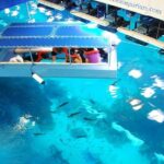 1 dubai aquarium and underwater zoo combo with sharing transfer Dubai Aquarium and Underwater Zoo Combo With Sharing Transfer