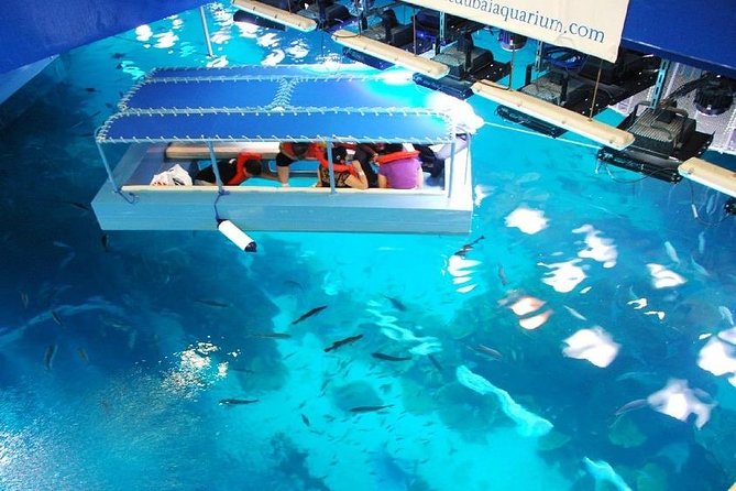 1 dubai aquarium and underwater zoo combo with sharing transfer Dubai Aquarium and Underwater Zoo Combo With Sharing Transfer