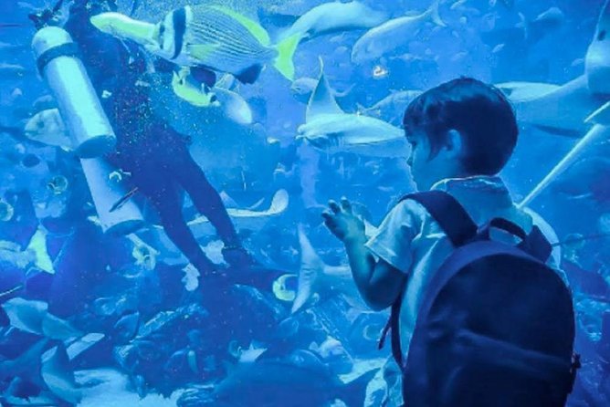 Dubai Aquarium and Underwater Zoo Explorer Tickets
