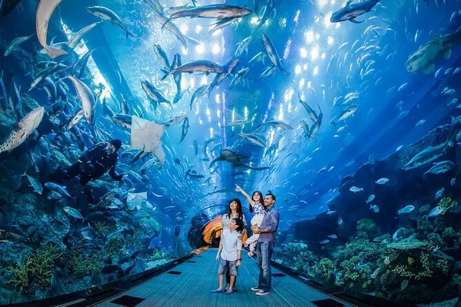 Dubai Aquarium and Underwater Zoo With Penguin