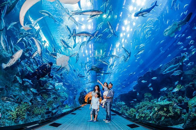1 dubai aquarium level 124 burj khalifa combo Dubai Aquarium & Level 124 Burj Khalifa Combo
