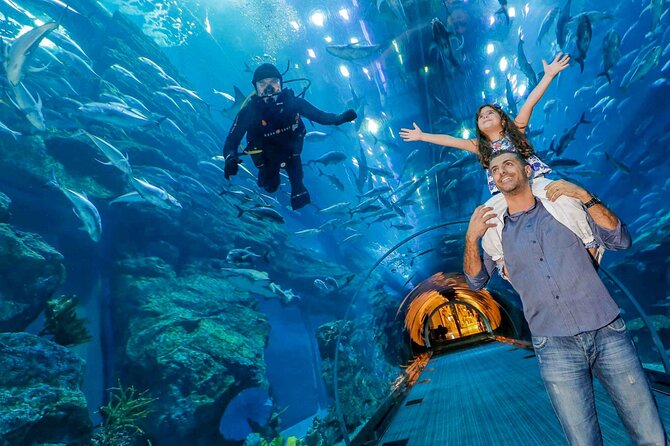 1 dubai aquarium underwater zoo basic Dubai Aquarium & Underwater Zoo - Basic