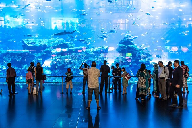 Dubai Aquarium & Underwater Zoo Entrance Ticket