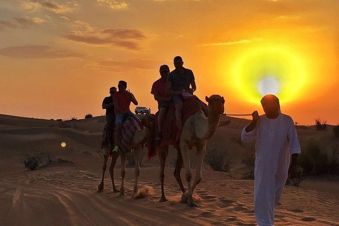 Dubai Camel Caravan With BBQ Dinner Buffet