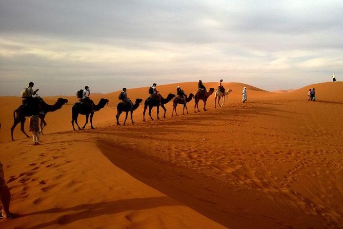 Dubai City and Abu Dhabi Tour With Desert Safari and Cruise