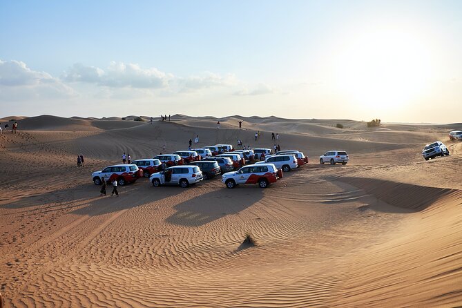 Dubai Desert Safari Tour With BBQ Dinner Quide Bike & Camel Ride