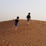 1 dubai dune bashing safari with bbq dinner entertainment and camel ride Dubai Dune Bashing Safari With BBQ Dinner, Entertainment and Camel Ride