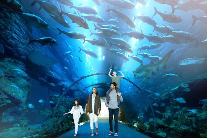 Dubai Mall Aquarium and Underwater Zoo Ticket