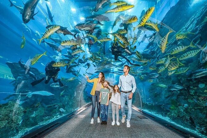 Dubai Mall Aquarium and Underwater Zoo Tickets With Transfers