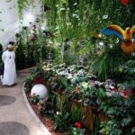 1 dubai miracle butterfly garden tour with private round trip transfers Dubai Miracle & Butterfly Garden Tour With Private Round Trip Transfers