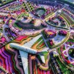 1 dubai miracle garden and half day private city tour Dubai Miracle Garden and Half Day Private City Tour