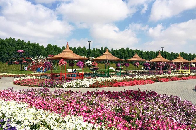 1 dubai miracle garden ticket with transfer 2 Dubai Miracle Garden Ticket With Transfer