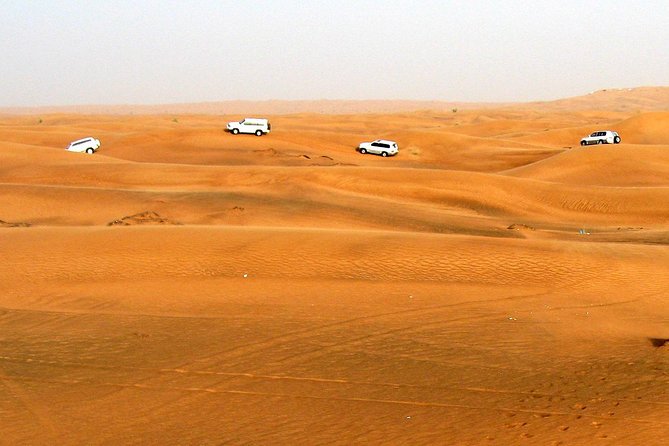 Dubai Morning Safari