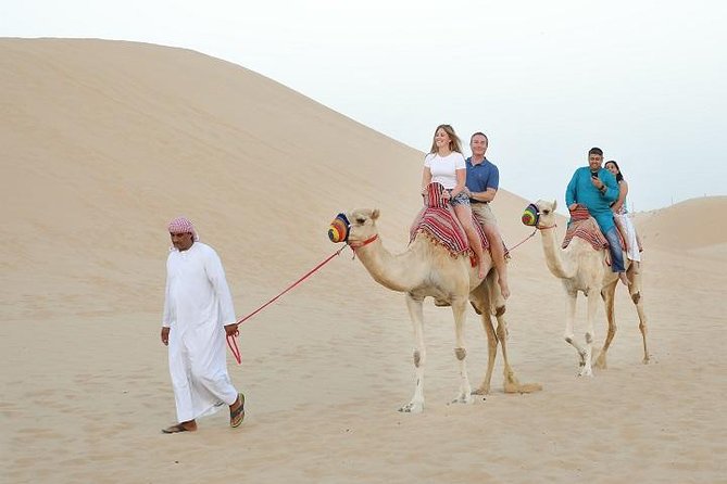 Dubai Red Dune Desert Safari: 4WD Bash, Camel Ride, BBQ, Shows