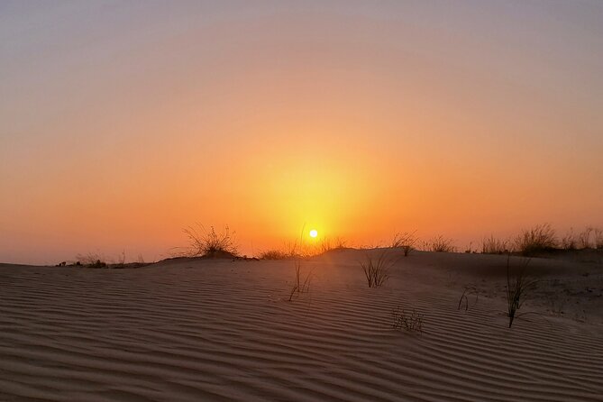 Dubai Sunset Camel Ride With Desert Safari