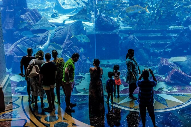 Dubai The Lost Chambers Aquarium Entrance Ticket