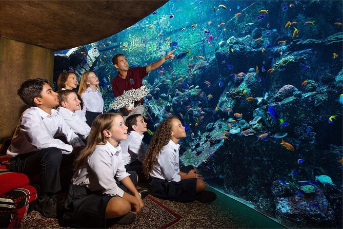 1 dubai the lost chambers aquarium ticket Dubai The Lost Chambers Aquarium Ticket