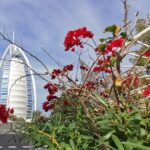 1 dubai top five attractions tour with with entry tickets Dubai Top Five Attractions Tour With With Entry Tickets