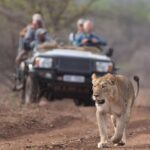 1 durban go on safari at 2 game reserves hluhluwe imfolozi pro zeiss binoculars Durban: Go on Safari at 2 Game Reserves (Hluhluwe-Imfolozi) Pro Zeiss Binoculars