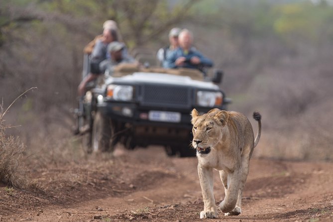 Durban: Go on Safari at 2 Game Reserves (Hluhluwe-Imfolozi) Pro Zeiss Binoculars