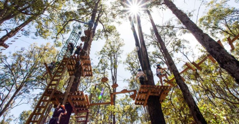 Dwellingup: Tree Ropes Course