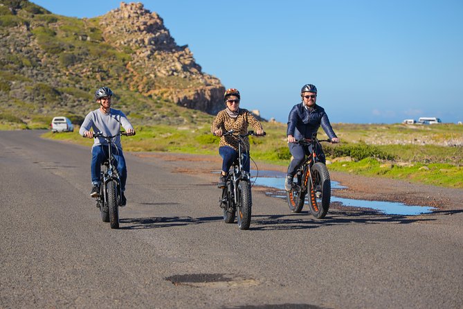 E-Bike Cape Peninsula Tour