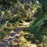 1 e bike tours on scenic trails in and beyond san francisco E- Bike Tours on Scenic Trails in and Beyond San Francisco