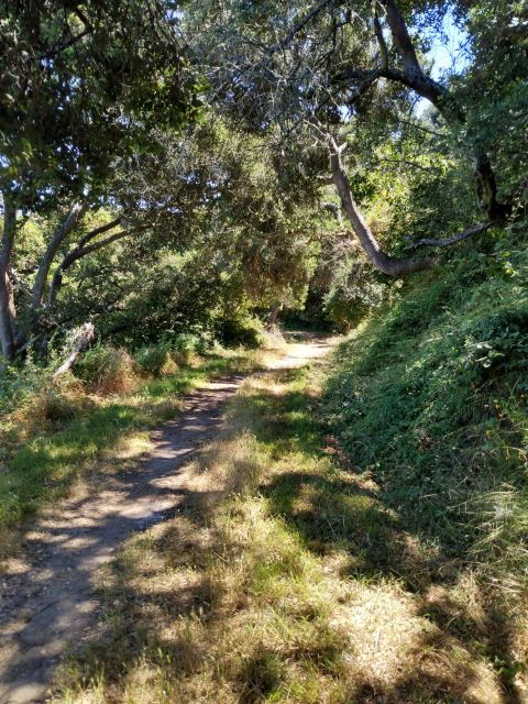 E- Bike Tours on Scenic Trails in and Beyond San Francisco