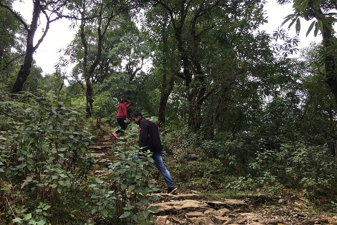 1 easy hiking to dhampus village from pokhara Easy Hiking to Dhampus Village From Pokhara