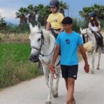 1 ebro delta national park guided horseback riding tour Ebro Delta National Park: Guided Horseback Riding Tour