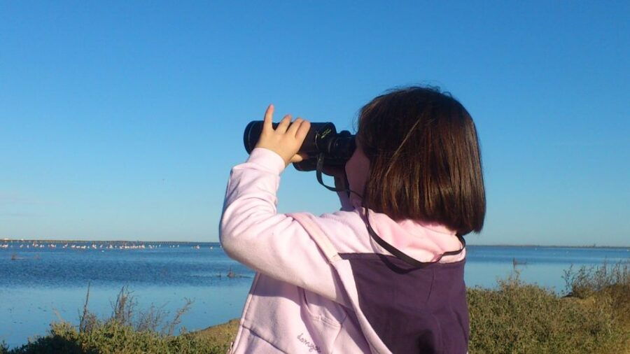 Ebro Delta: Northern Delta Guided Tour With a Local