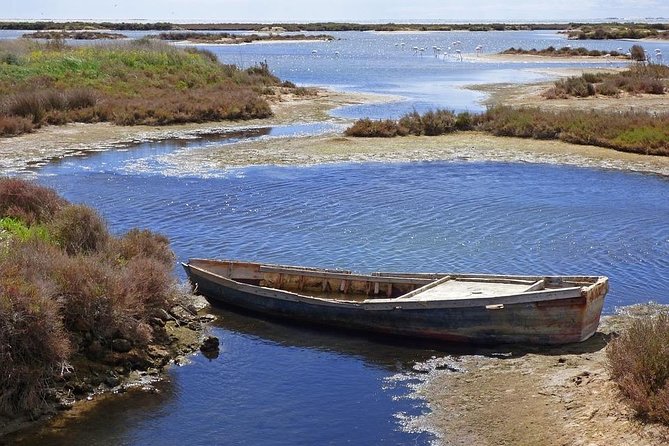 1 ebro delta tour hotel pick up from salou tarragona Ebro Delta Tour - Hotel Pick up From Salou/Tarragona