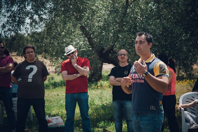 Ecological Olive Grove Tour With EVOO Tasting