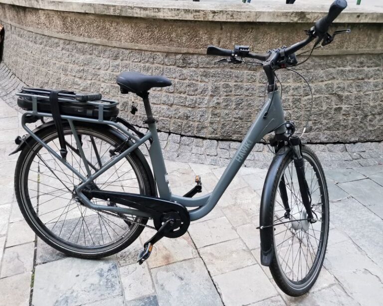 Electric Bike Rental in Paris (8h)