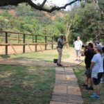 1 elephant sanctuary tour from johannesburg 3 Elephant Sanctuary Tour From Johannesburg