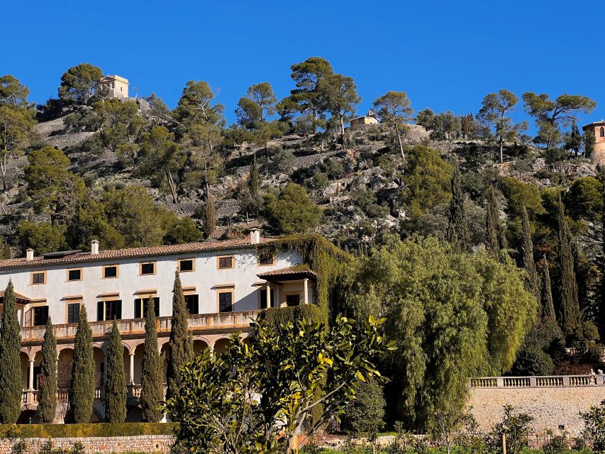 1 embrace the enchantment of mallorcas almond blossom season Embrace the Enchantment of Mallorca's Almond Blossom Season