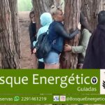 1 energetic forest guided tour Energetic Forest: Guided Tour