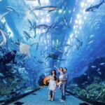 1 entrance to dubai aquarium and underwater zoo Entrance to Dubai Aquarium and Underwater Zoo