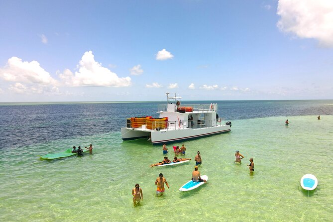 Epic Sandbar Safari With Dolphin Playground Encounter In Key West