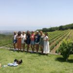 1 etna excursion and lunch wine tasting in etna doc vinery Etna Excursion and Lunch - Wine Tasting in Etna DOC Vinery