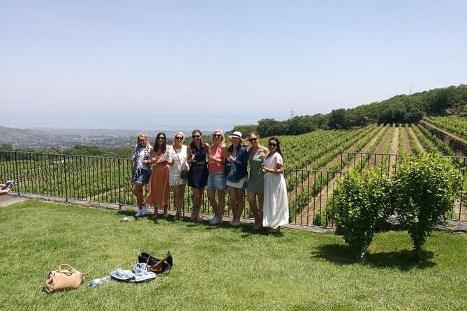 Etna Excursion and Lunch – Wine Tasting in Etna DOC Vinery