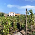 1 etna wine tasting and food tour Etna: Wine Tasting and Food Tour
