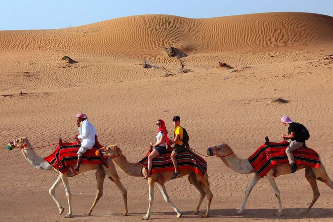 Evening Camel Tekking Dubai With Dinner