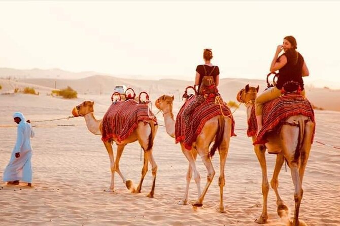 Evening Desert Safari Dubai With Camel Riding & Sand Boarding