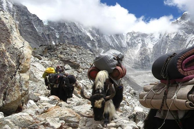 1 everest panorama trek mt everest view trekking Everest Panorama Trek Mt Everest View Trekking