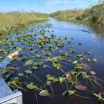 1 everglades airboat ride ranger guided eco tour from miami Everglades Airboat Ride Ranger-Guided Eco-Tour From Miami