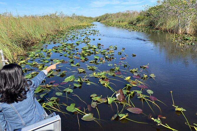 Everglades Airboat Ride Ranger-Guided Eco-Tour From Miami