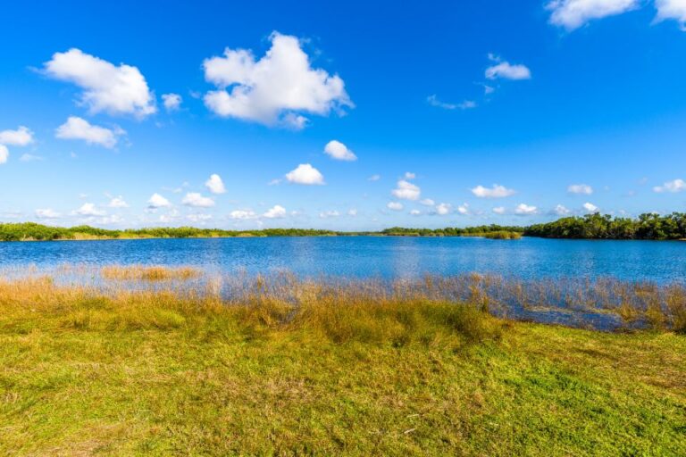 Everglades & Big Cypress Self Guided Driving Tour Bundle