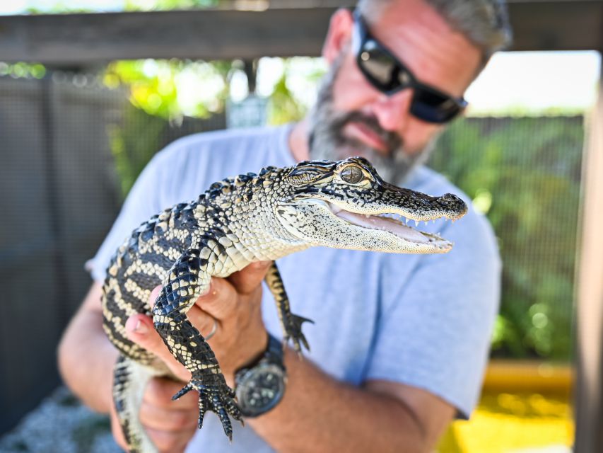 1 everglades sawgrass park day time airboat tour Everglades: Sawgrass Park Day Time Airboat Tour & Exhibits